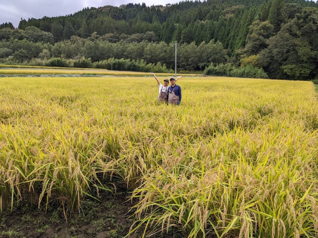 ★自然栽培米　玄米20kg(10kg×2)　令和7年度　熊本県産　森のくまさん★
