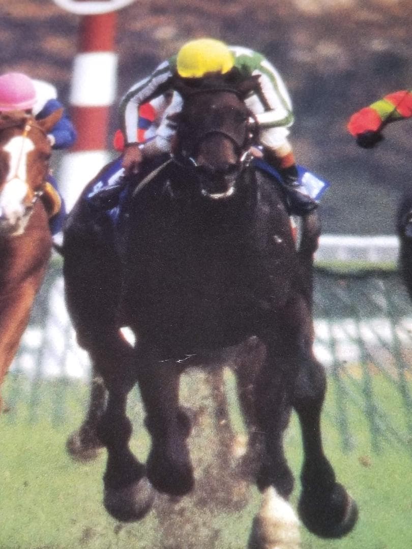 ◆ ナリタブライアン　武豊　JAPAN CUP　非売品　KEIBA　競馬ポスター