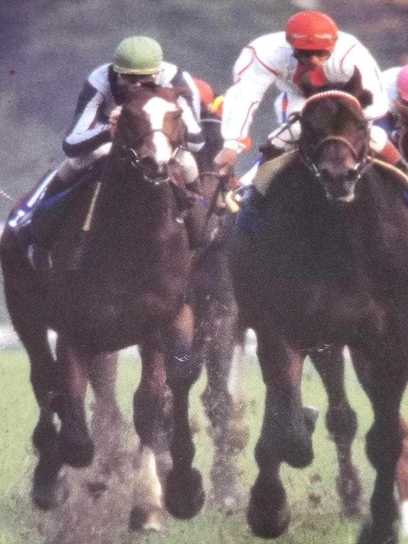 ◆ ナリタブライアン　武豊　JAPAN CUP　非売品　KEIBA　競馬ポスター