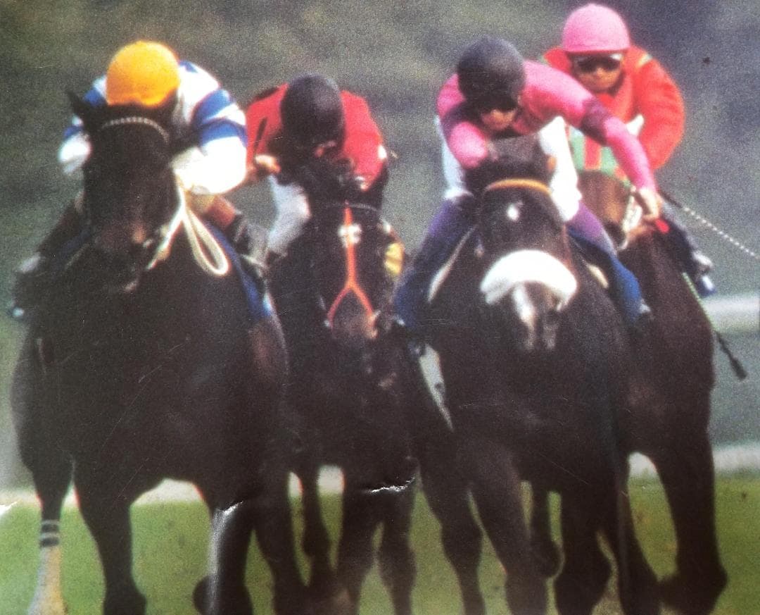 ◆ ナリタブライアン　武豊　JAPAN CUP　非売品　KEIBA　競馬ポスター