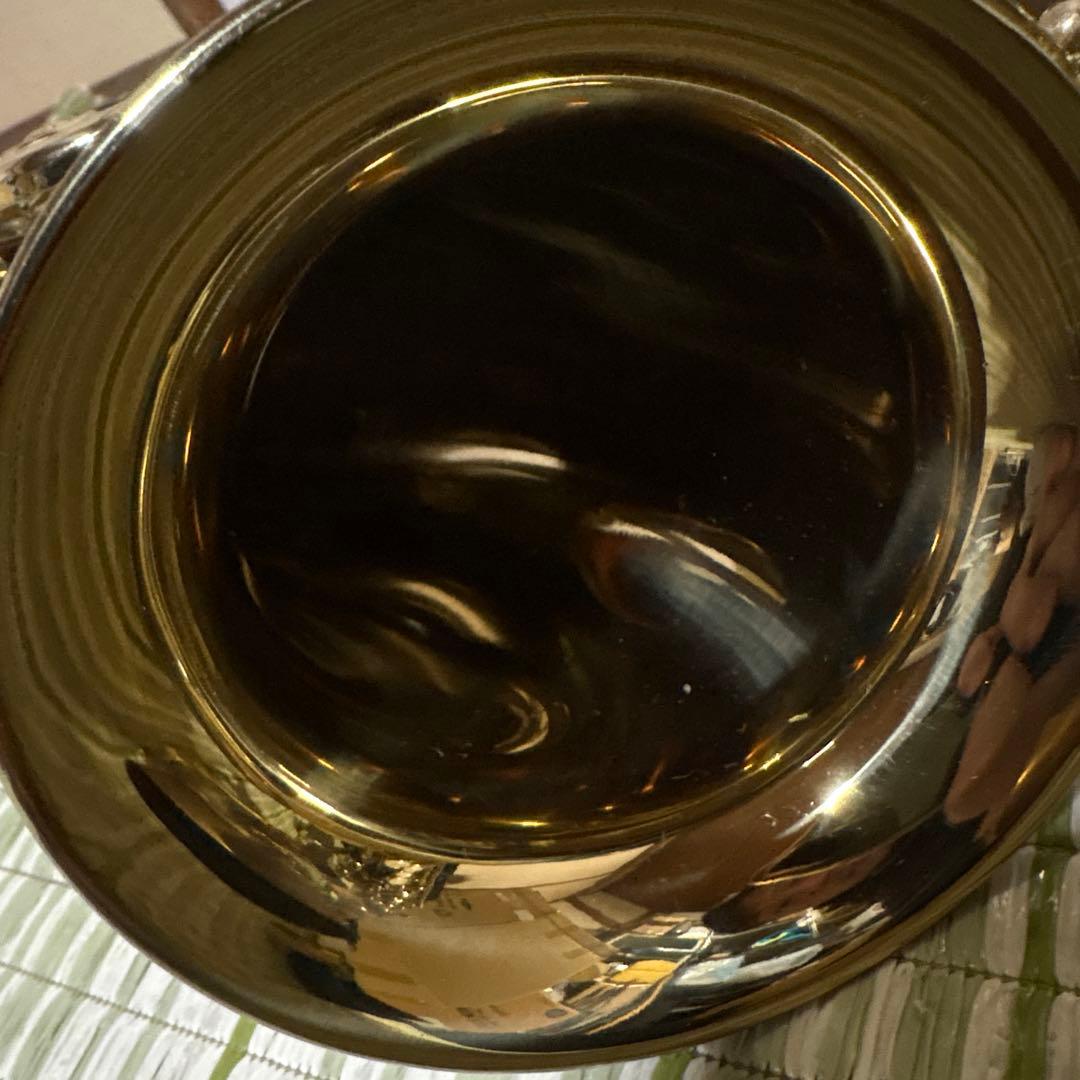 SELVA セルバ アルトサックス SAS-100 ケース付き　管楽器　音楽