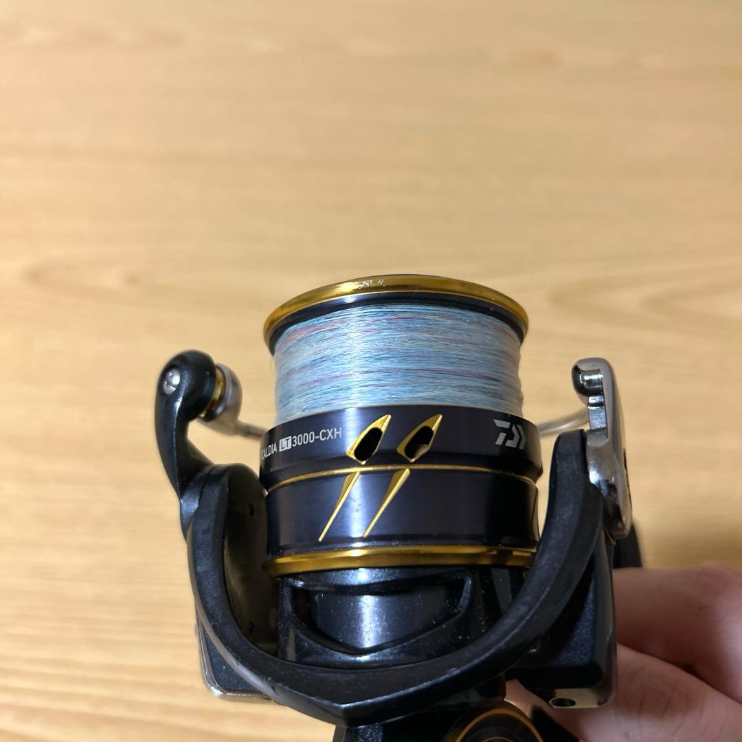 ダイワ 21 カルディア LT 3000-CXH
