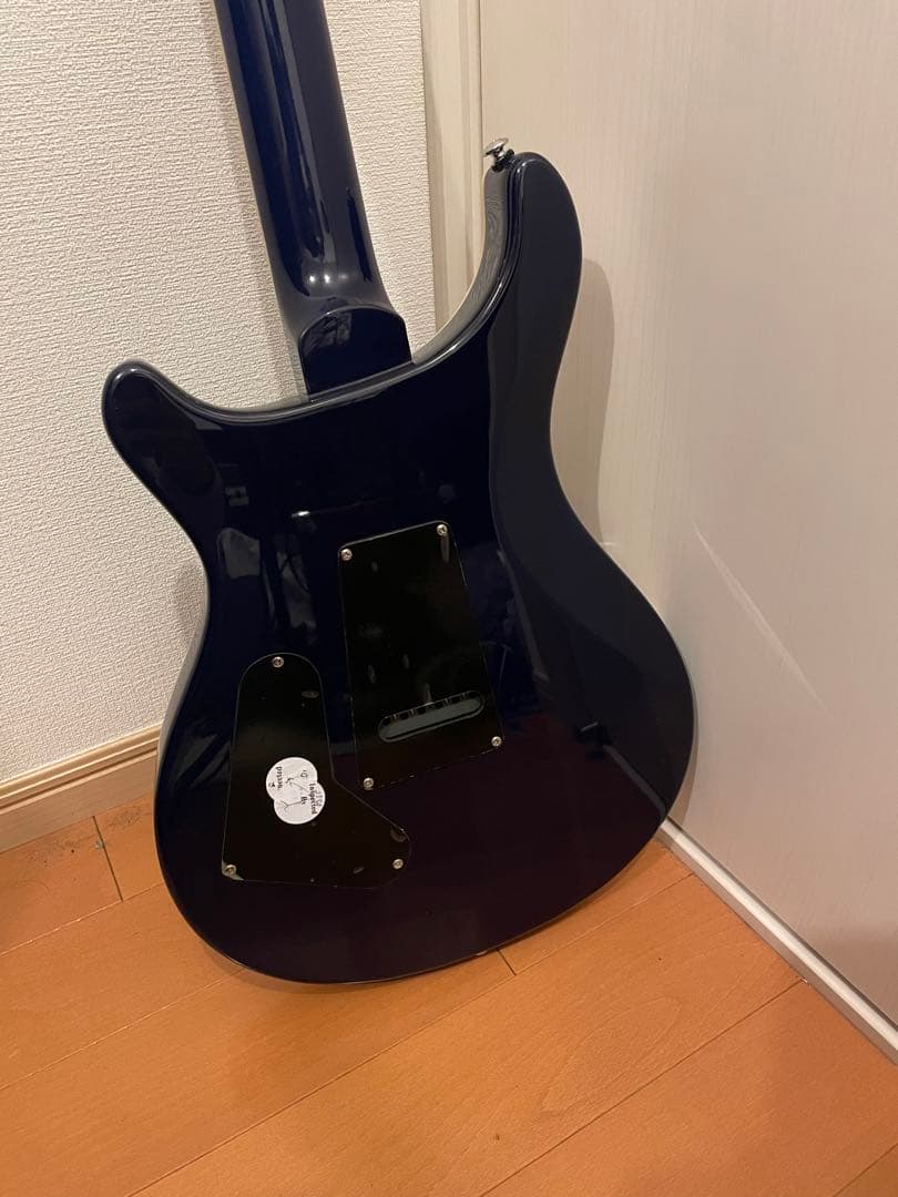 ギター Paul Reed Smith (PRS) SE STANDARD 24