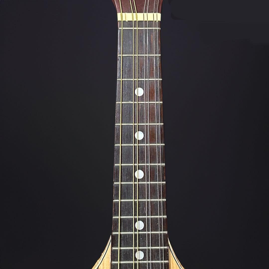 Hora Mandolin Port.1 フラット マンドリン