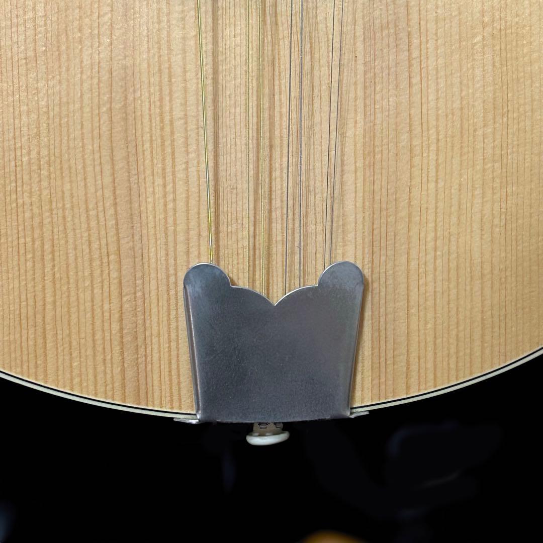 Hora Mandolin Port.1 フラット マンドリン