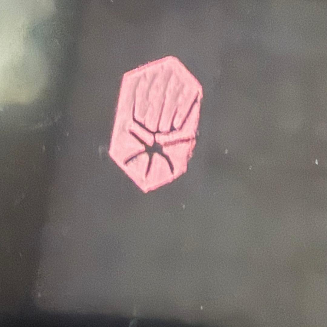 2168様感謝‼️愛蔵品渾身のJAPAN WAJIMA 輪島 塗師特製在銘椿皿5客