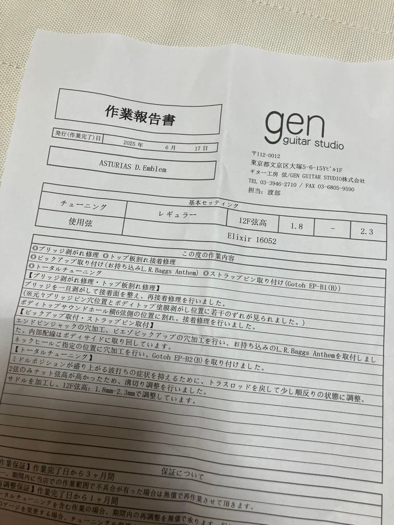 ASTURIAS/D. EMBLEM LRバッグスANTHEM搭載 フルリペア済