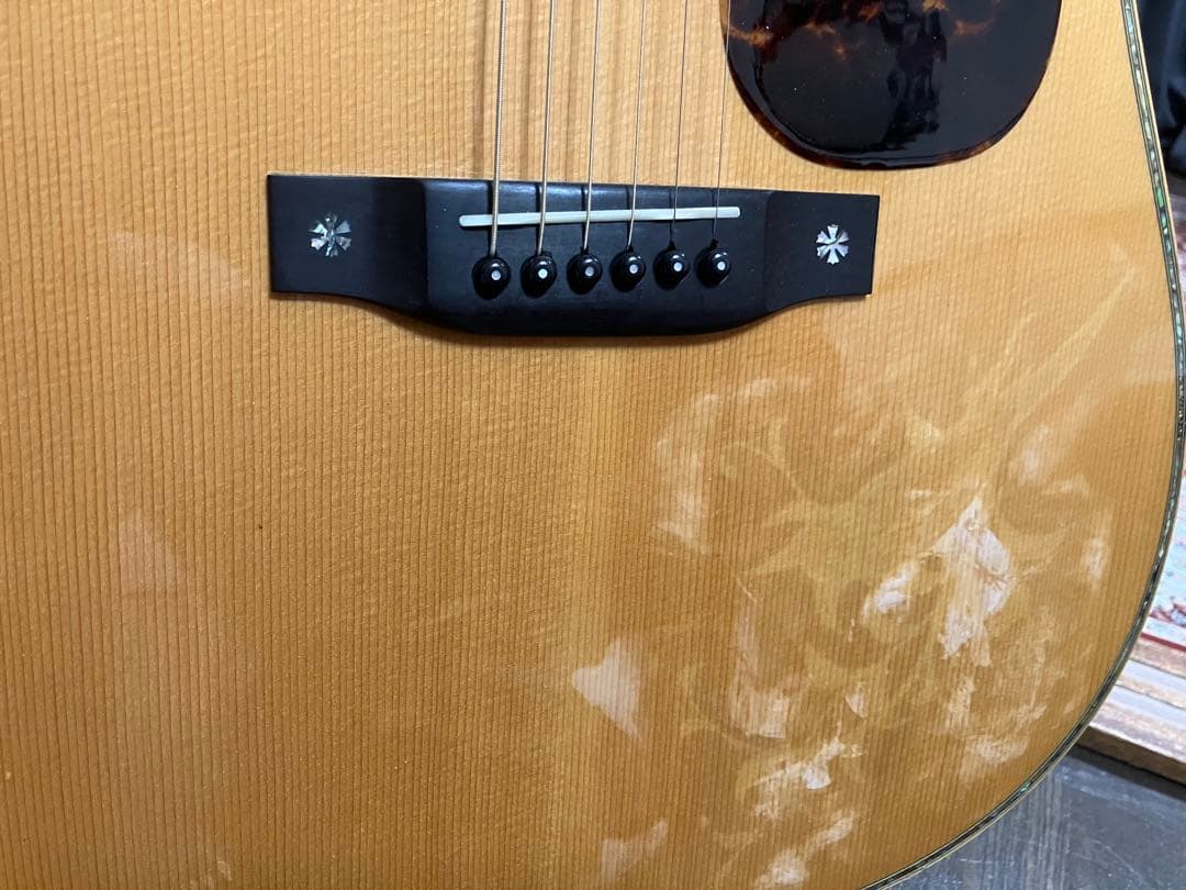 ASTURIAS/D. EMBLEM LRバッグスANTHEM搭載 フルリペア済