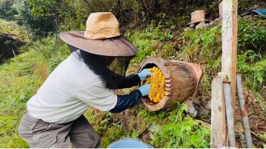 二ホンミツバチ　非加熱・残留農薬なし　天然生蜂蜜