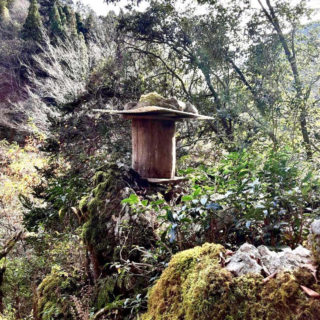 二ホンミツバチ　非加熱・残留農薬なし　天然生蜂蜜