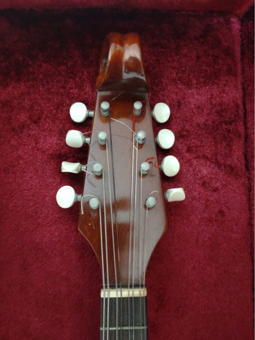 野口實　マンドリン 1985年製造