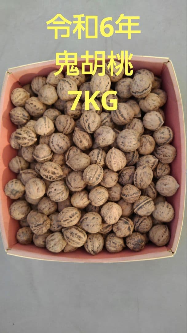 ねっこ 令和6年産殻付き胡桃 大粒鬼胡桃7Kg+姫胡桃5Kg