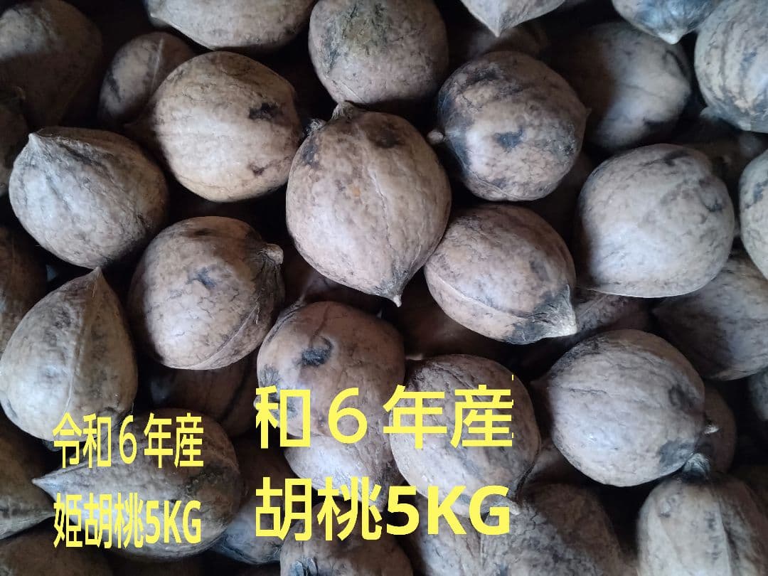 ねっこ 令和6年産殻付き胡桃 大粒鬼胡桃7Kg+姫胡桃5Kg