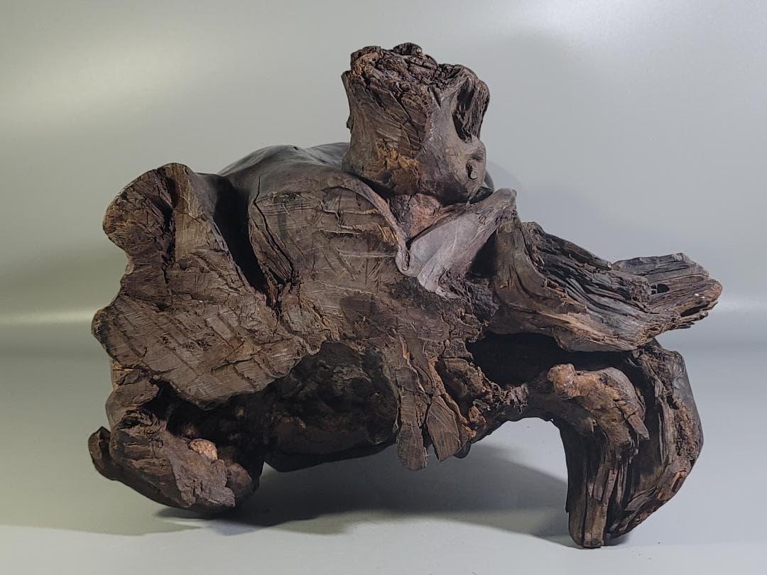 中国美術 龍眼木 彫刻 羅漢 置物 DT375