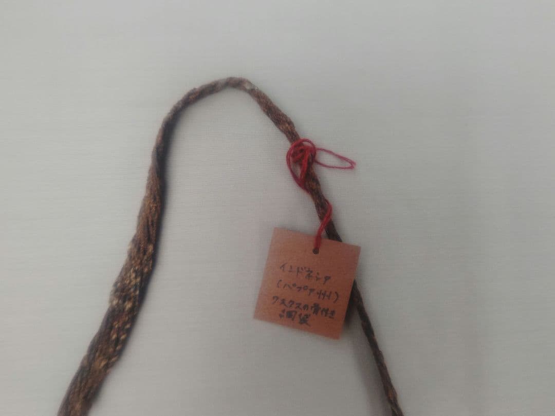 値下げしました★ 骨装飾　編バッグ　民族　骨格標本 プリミティブ　アンティーク