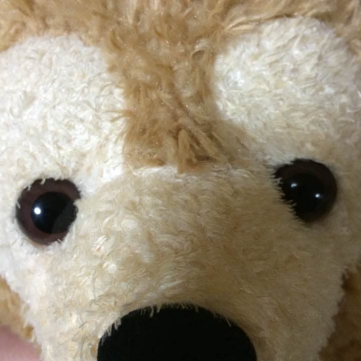 ダッフィとメイちゃん