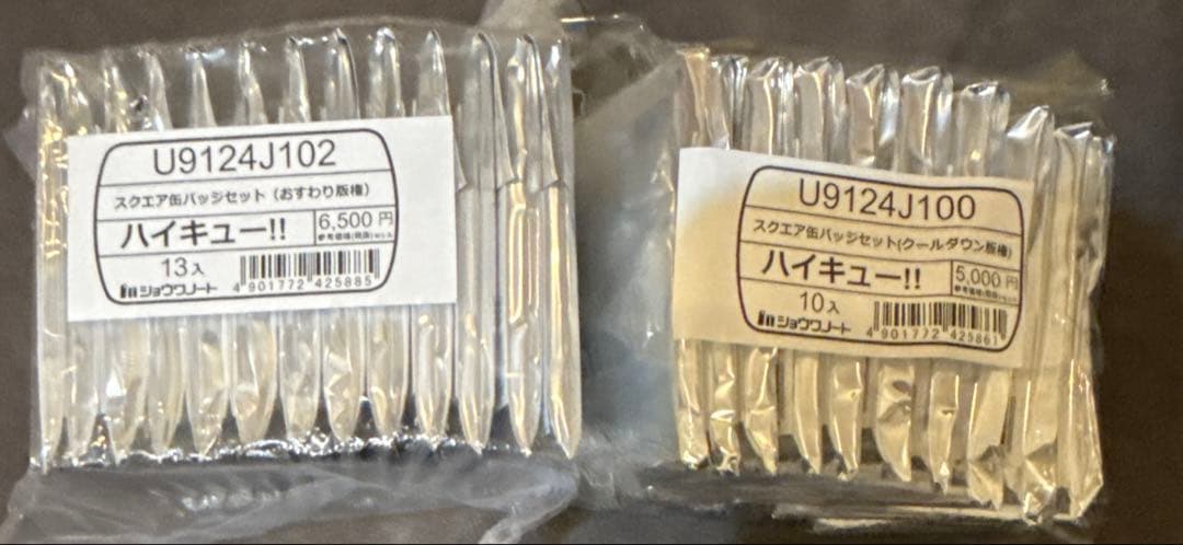 ハイキュー‼︎ スクエア 缶バッジ クールダウン おすわり 2種セット