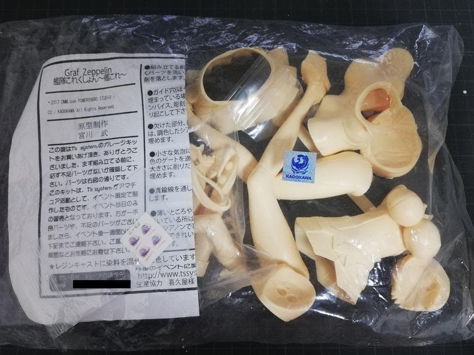 Ts system 宮川武 艦これ グラーフ　ツェッペリン ガレージキット