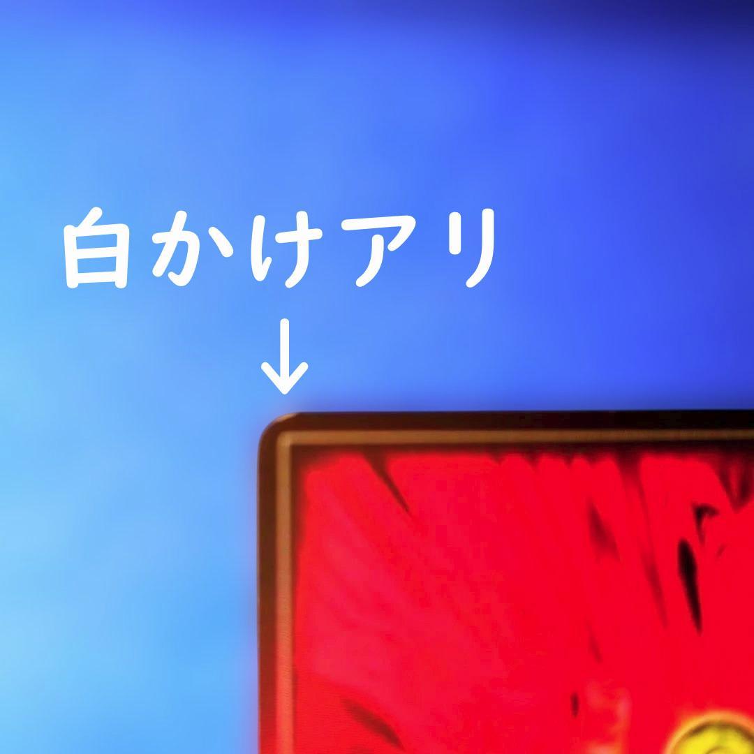 訳アリ特価　超貴重　ライコーオー・フウガ　エンガ　ドラゴンドライブ　プロモ　2枚