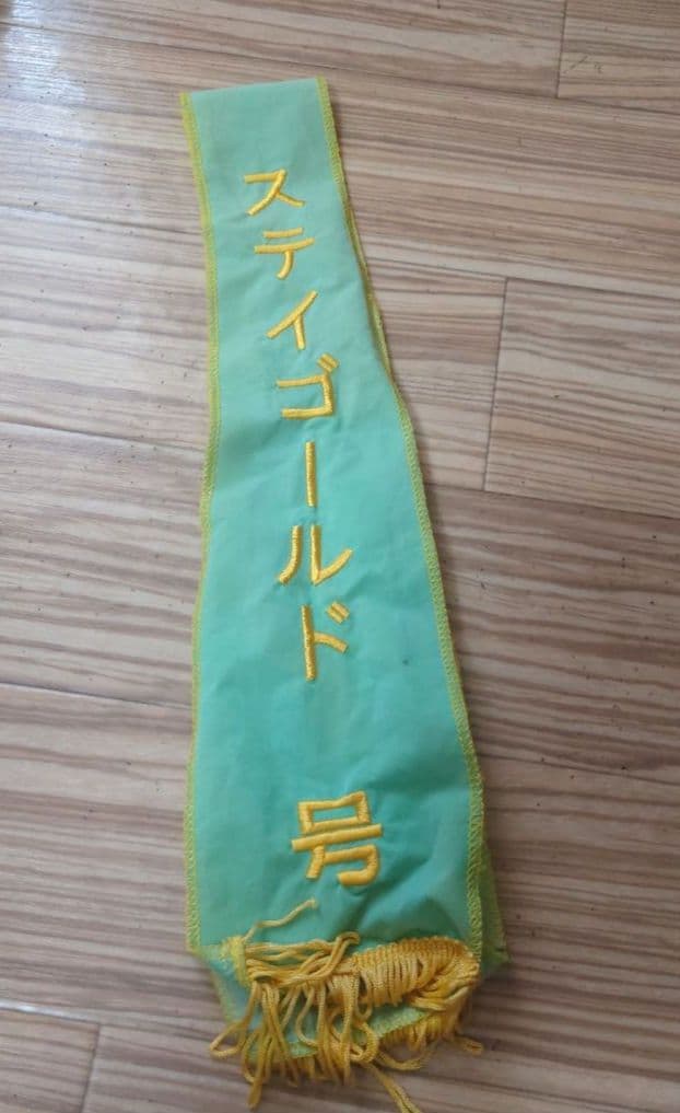 希少品ステイゴールド香港ヴァーズ2L特大ぬいぐるみ