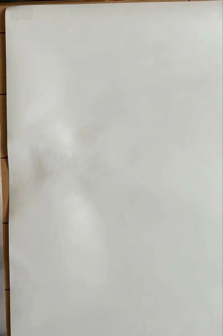 IMAX 映画　A3 ポスター　7枚セット　（丸めずに発送）