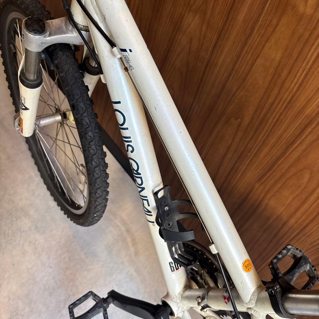 ルイガノ　子供用　自転車　キッズ 女の子　男の子　ジュニア24インチ