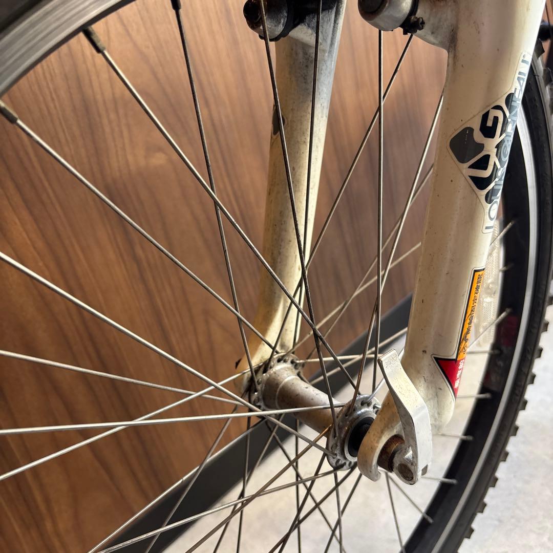 ルイガノ　子供用　自転車　キッズ 女の子　男の子　ジュニア24インチ