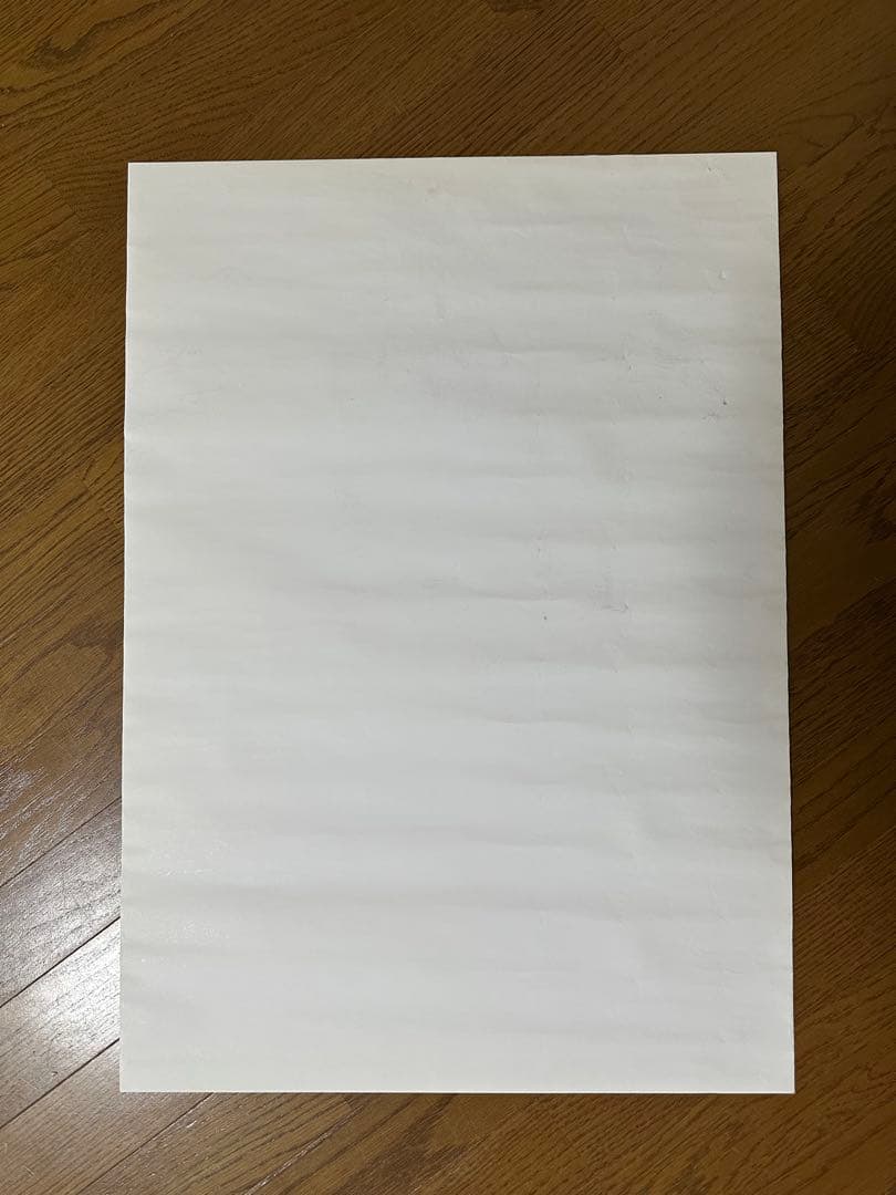 Mrs. GREEN APPLE サイン入りポスター2枚セット