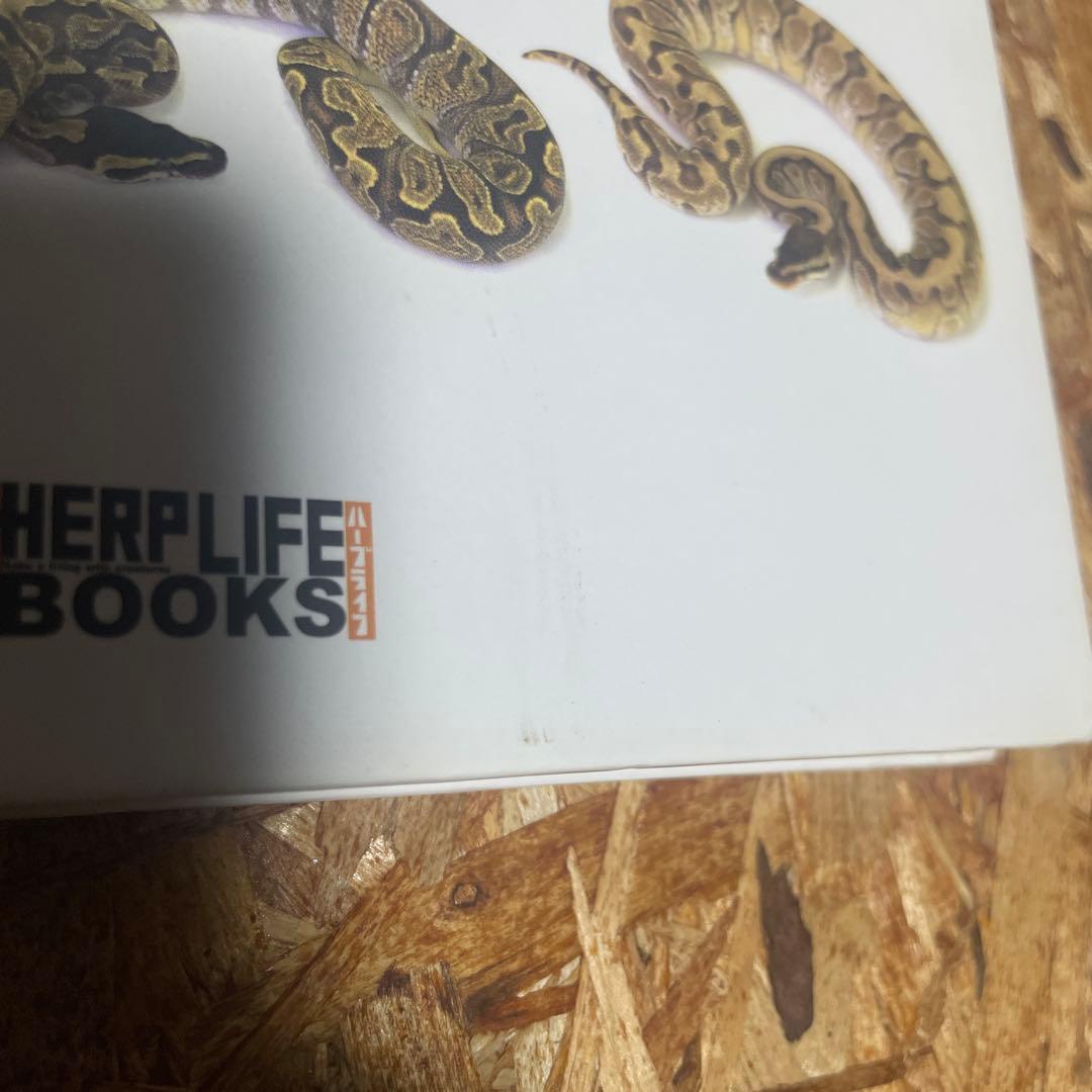 パーフェクトボールパイソン【毒ヘビ全書とのセット売りも可】