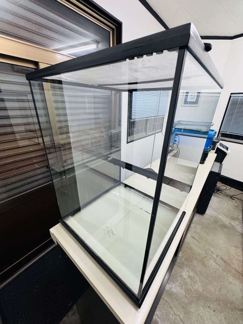 グラステラリウム 4560 【直接引き取り可】