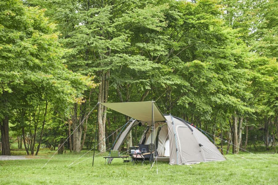 新品未使用 ホールアース アーストリッパーSC (約)1～2人用 未開封