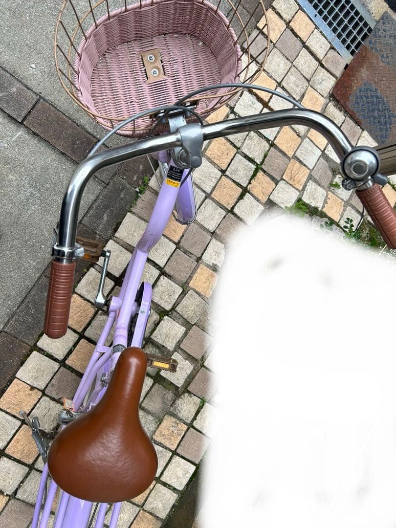美品　ダイワサイクル　女の子　シルバーリング　キュート　20インチ　パープル