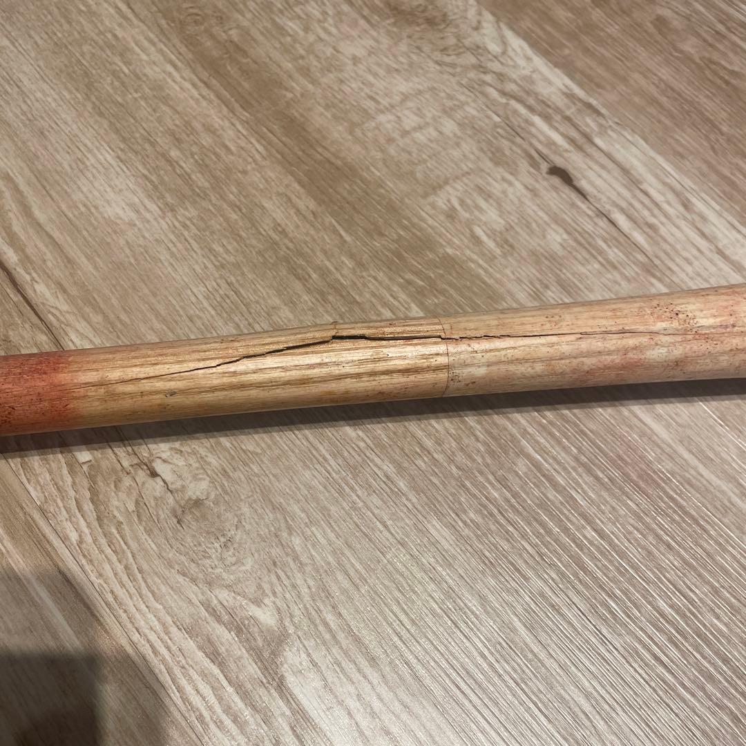 ヤクルトスワローズ 真中満 直筆サイン入りバット