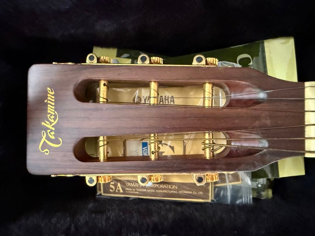 Takamine エレクトリカルアコースティックギター　PT407