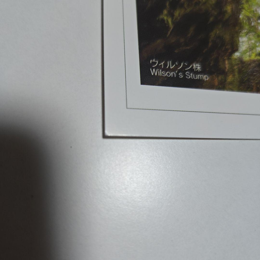 JAC 屋久島 ポストカード 2枚セット