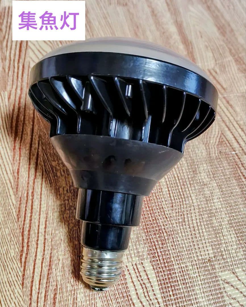 【美品】集魚灯12v LED 防水20w E26 口金 ノイズ対策 直流 24v
