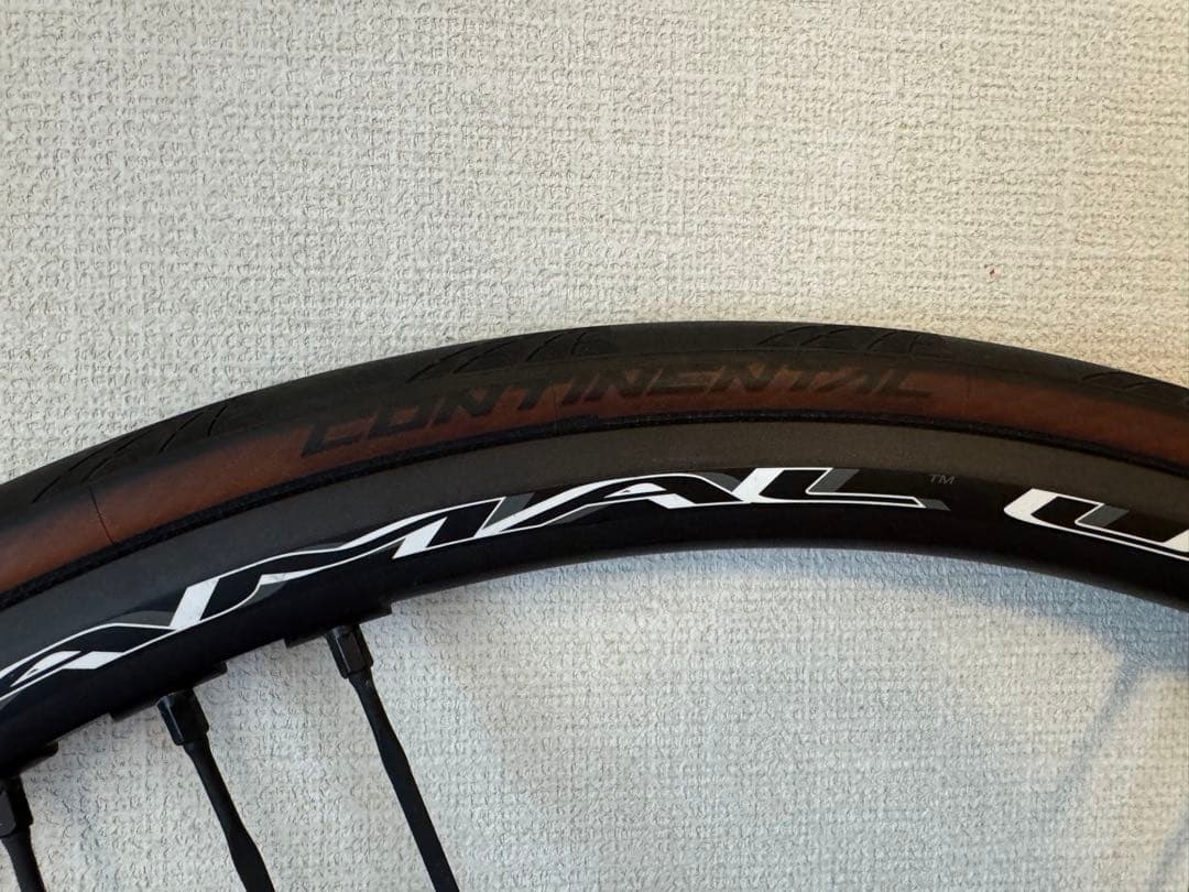 パーツ CAMPAGNOLO SHAMAL ULTRA DISC