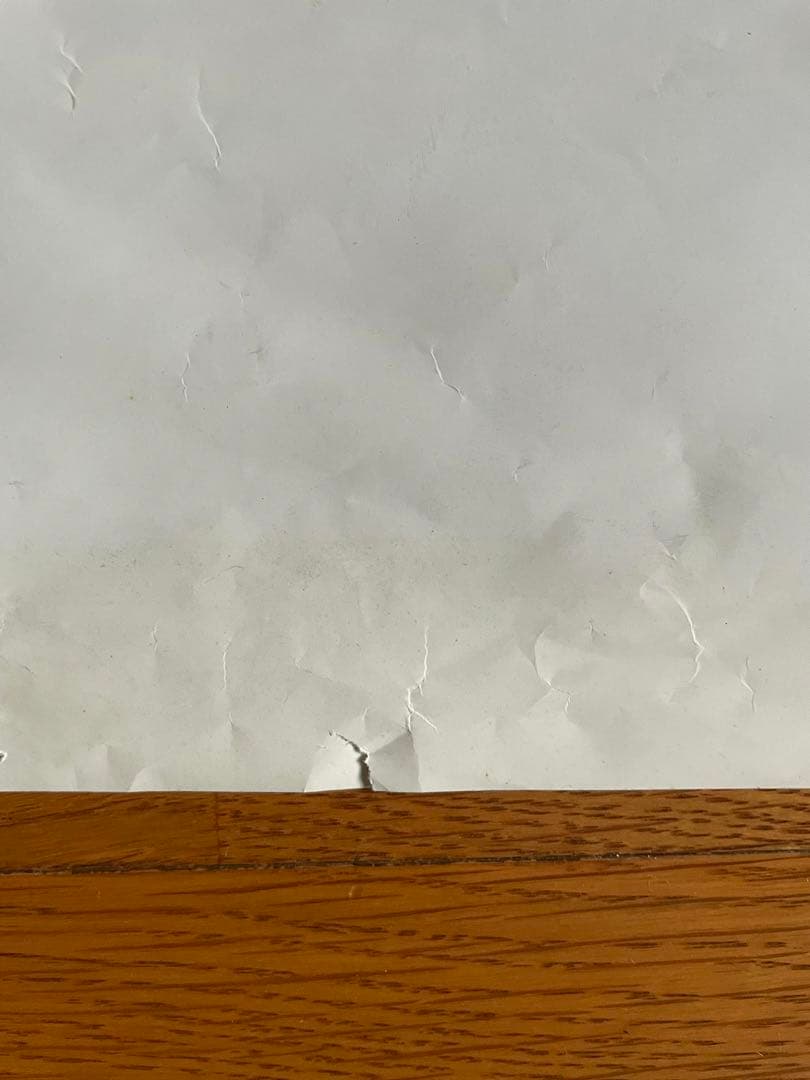 希少【国内劇場使用版B2ポスター】ライフ・アクアティック ウェス・アンダーソン