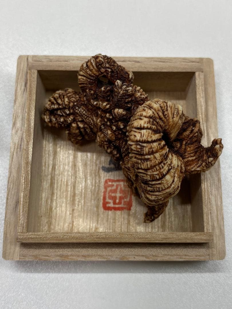 東宝怪獣根付　シン・ゴジラ　木札　木箱付き　ゴジラ　2016 未使用・新古品