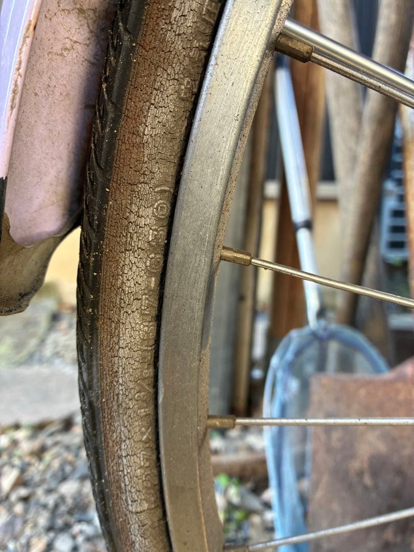 通学自転車　カジュナ
