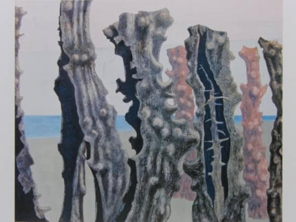 山崎 隆、海浜 67、希少画集画、新品額付、状態良好