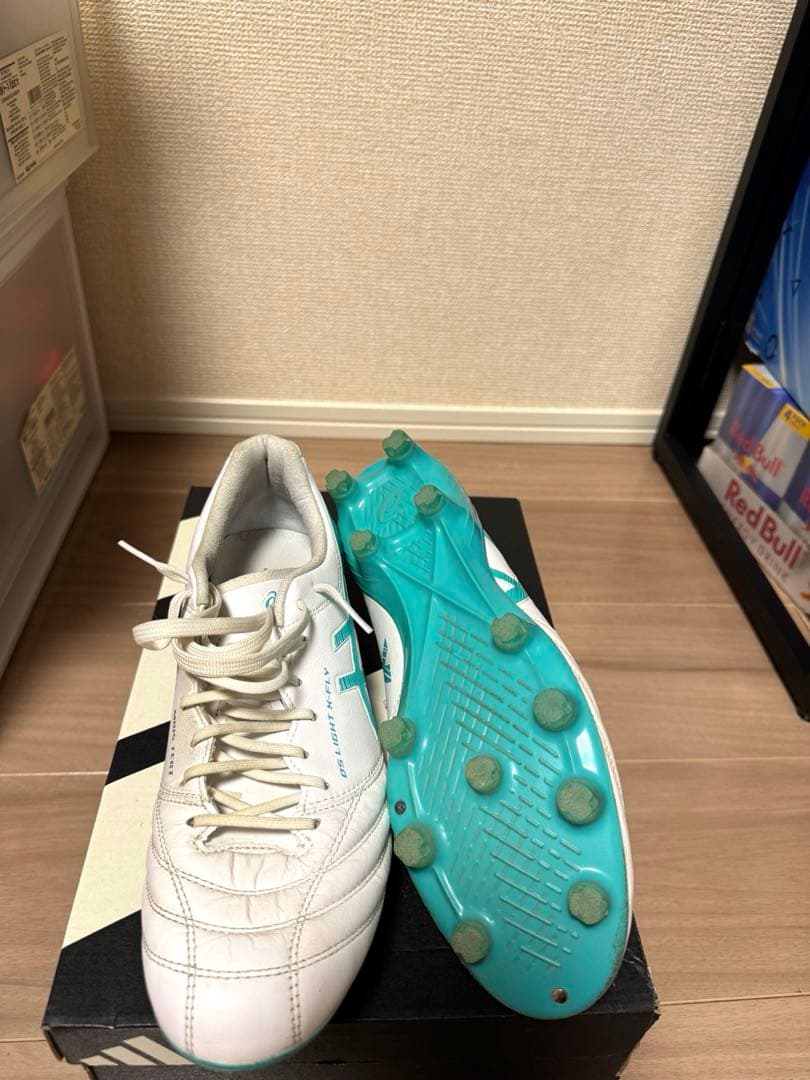 シューズ ASICS DS LIGHT X-FLY 5