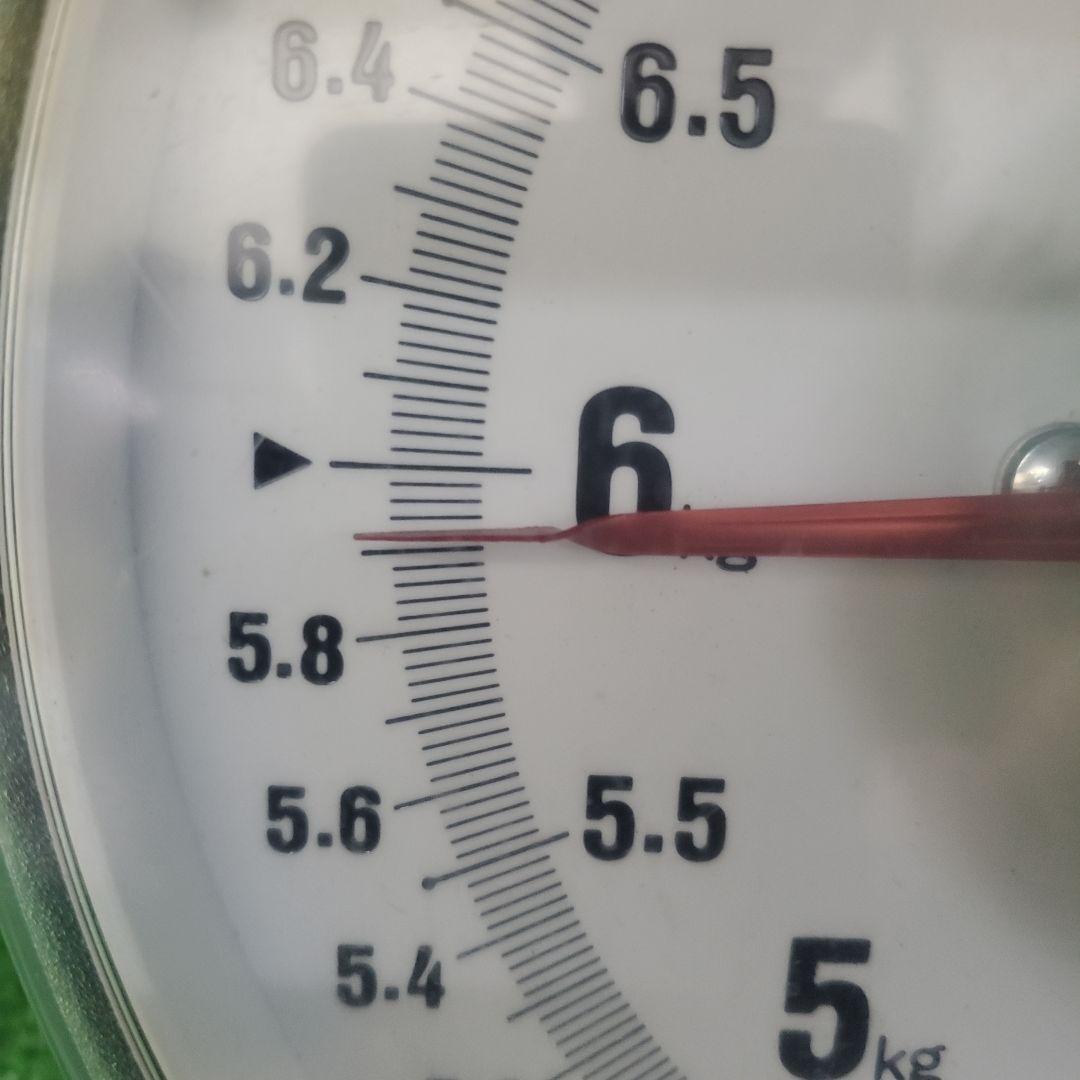 7️⃣ 山梨県産 シャインマスカット ９房入り 箱込み5.8キロ