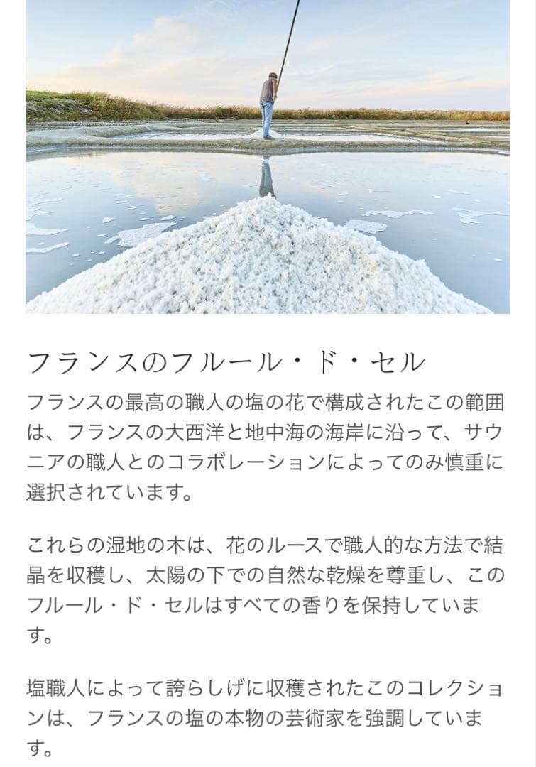 【新品★日本未進出】Fleur de Sel フルール・ド・セル ゲランド 塩