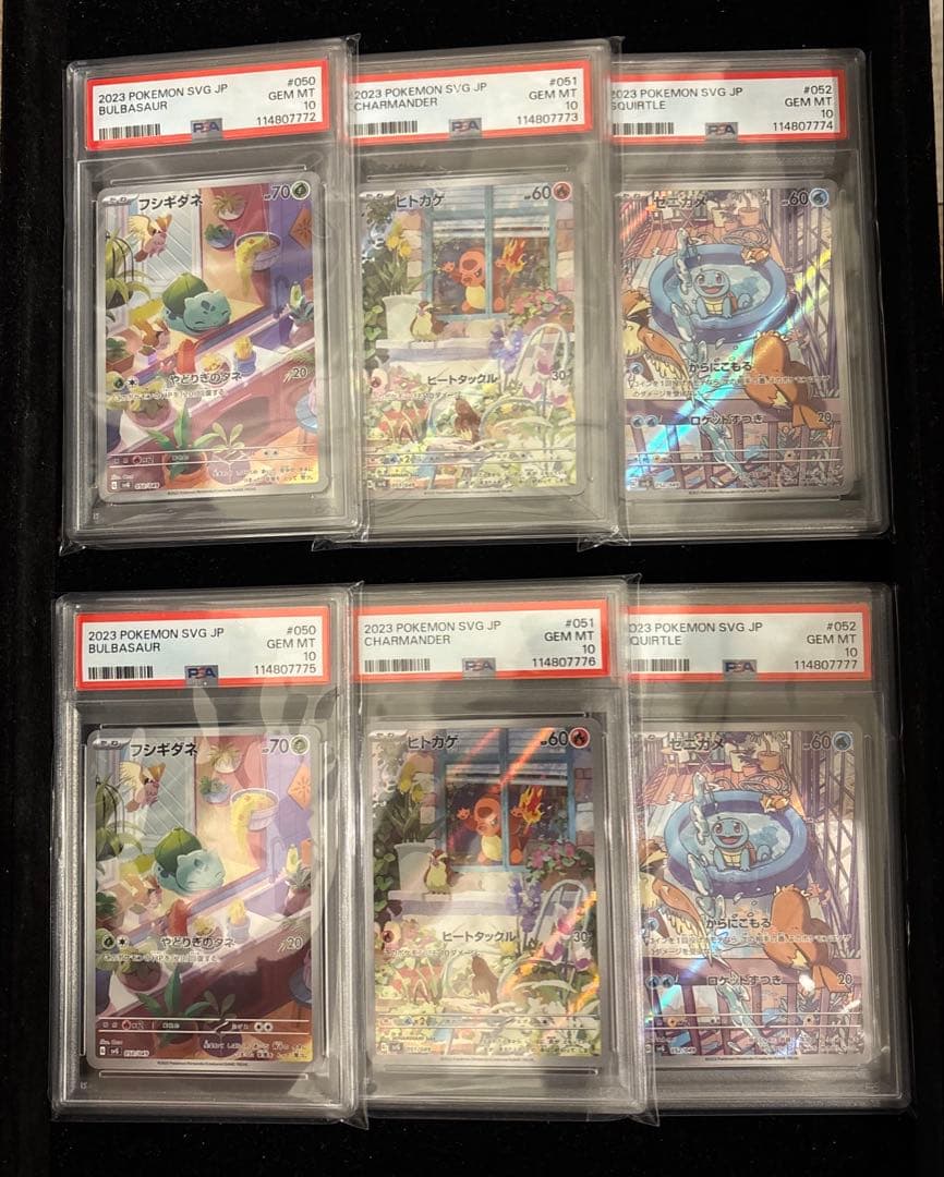 ポケカ フシギダネ ヒトカゲ ゼニガメ 御三家 ar プロモ psa10 6連番