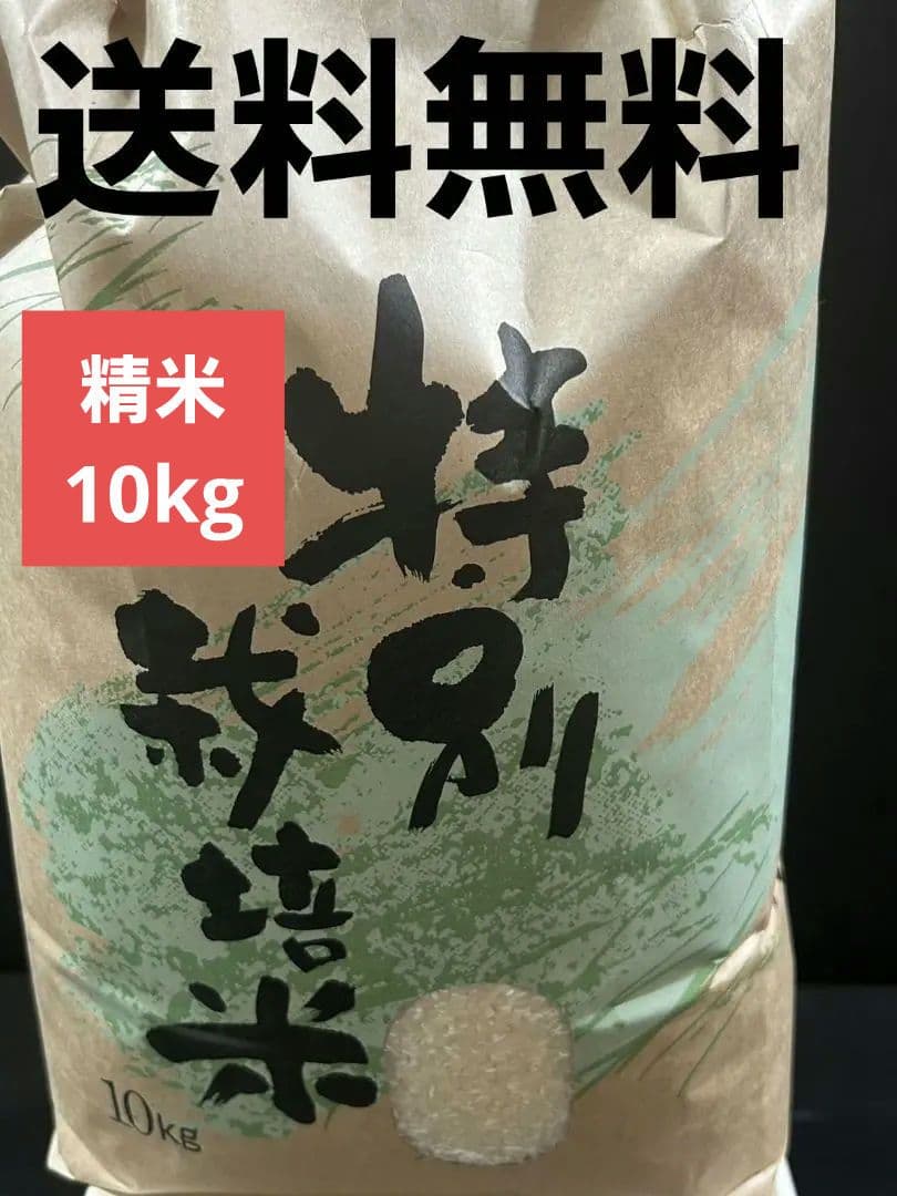 米 石川県産 10kg精米