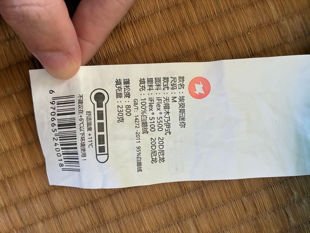 イージスマックス　mini