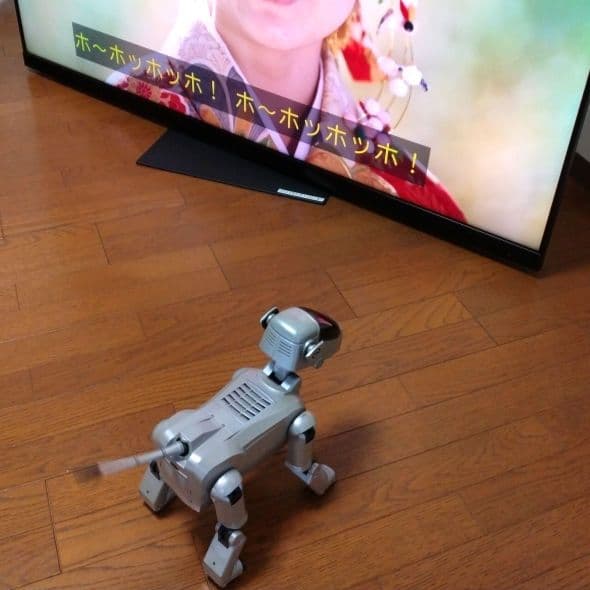 希少／初代AIBO／アイボERS-111／SONY／ソニー／シルバー／動作可