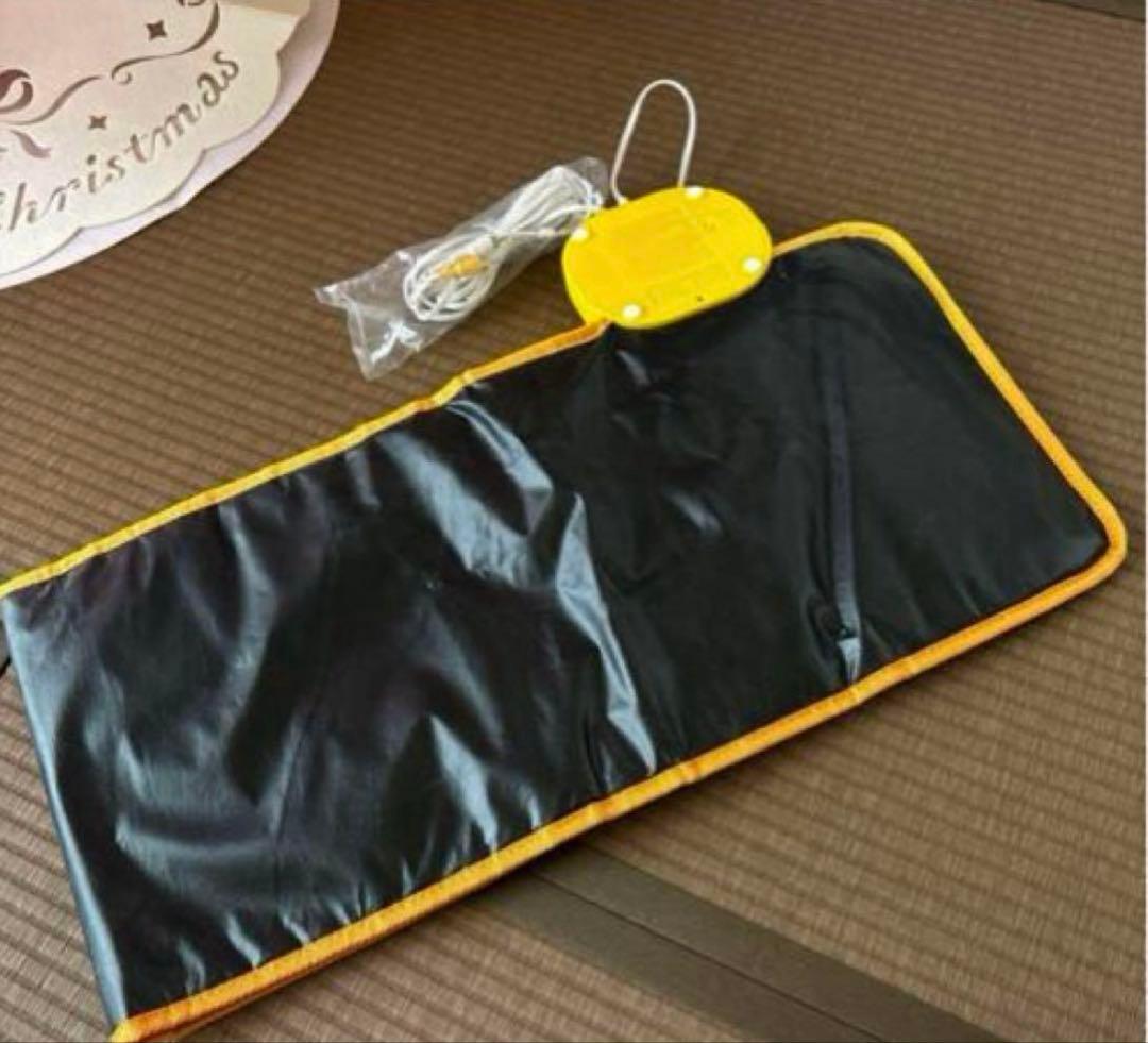 アンパンマン スポーツ育脳マット 知育玩具