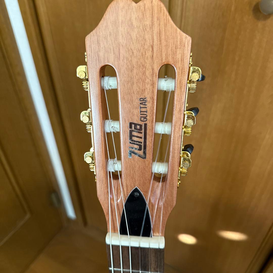 エレガットギター